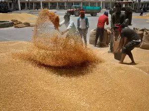 Govt will take appropriate decision in March-April on lifting wheat export ban: DGFT chief