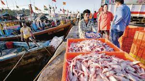 India’s seafood exports likely to reach all-time high of US $ 8 billion