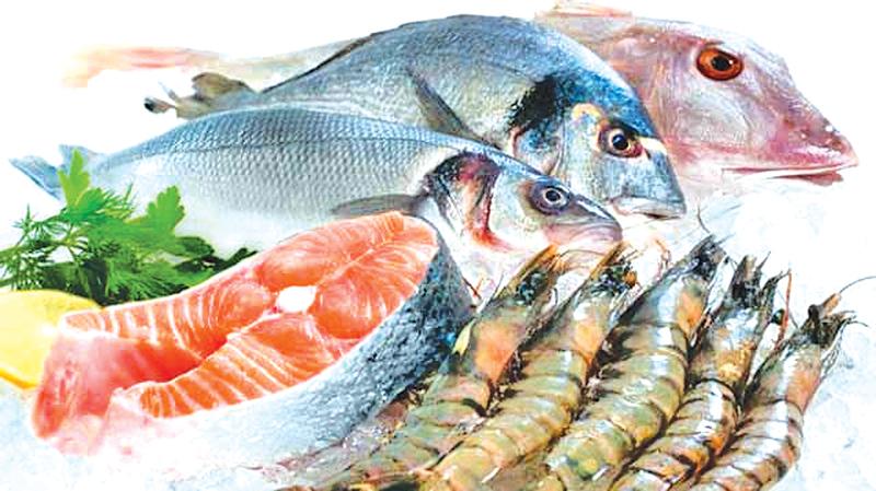 India’s seafood exports likely to reach all-time high of US $ 8 billion
